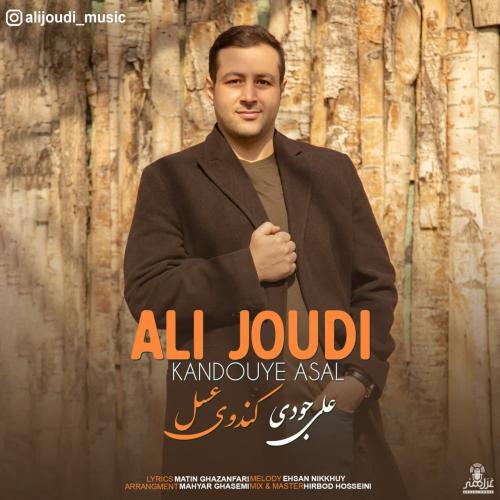 علی جودی کندوی عسل